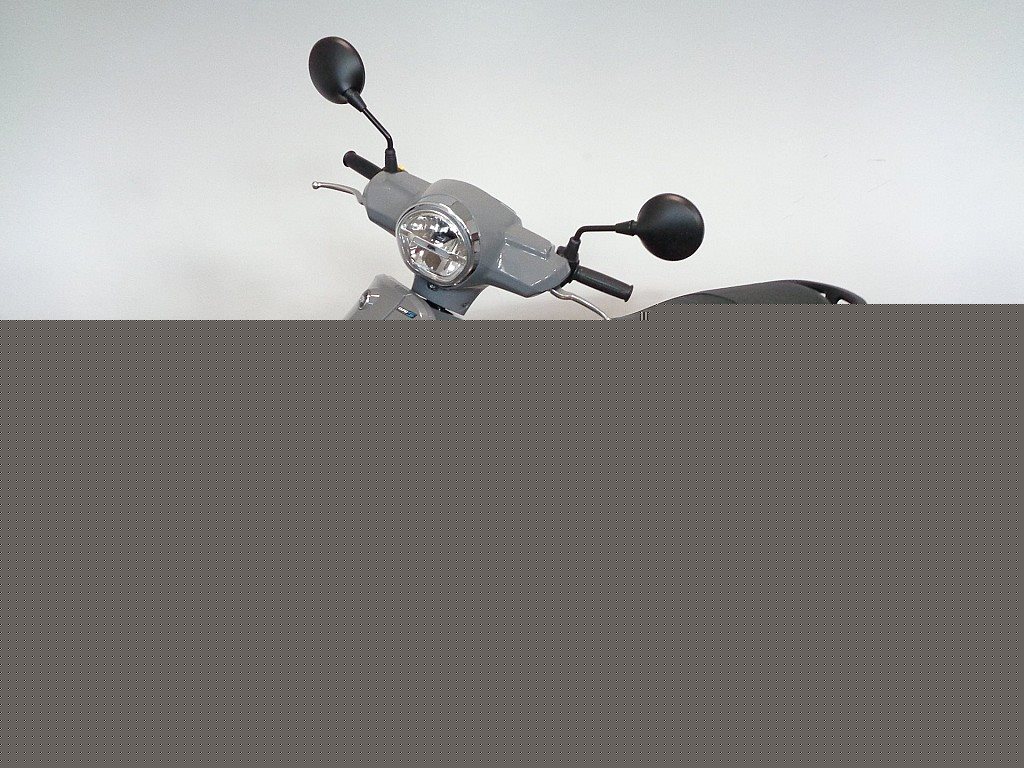 g-000346-g_W3466864_7-sym-fiddle-50i-neufahrzeug-639212442864721360